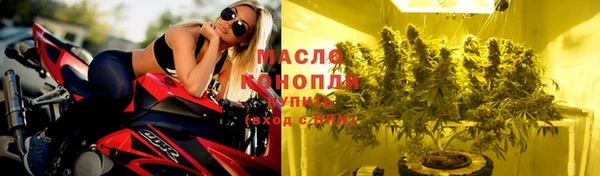 шишки Осинники