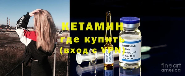 шишки Осинники