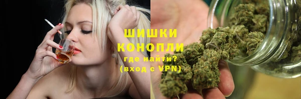 шишки Осинники