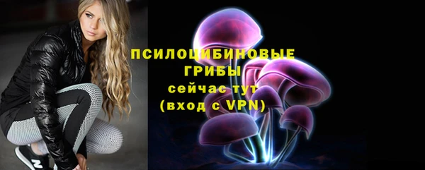 МДМА Осташков
