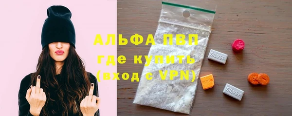 шишки Осинники