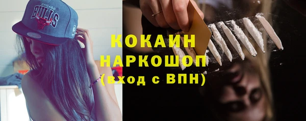 шишки Осинники
