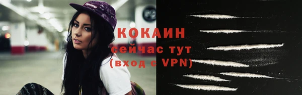 шишки Осинники