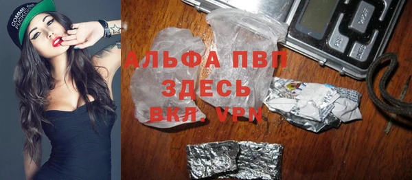 шишки Осинники