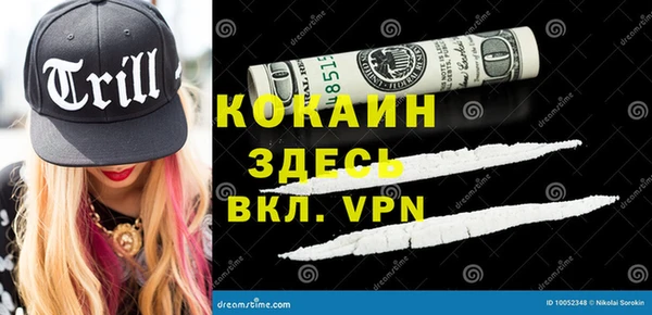 шишки Осинники