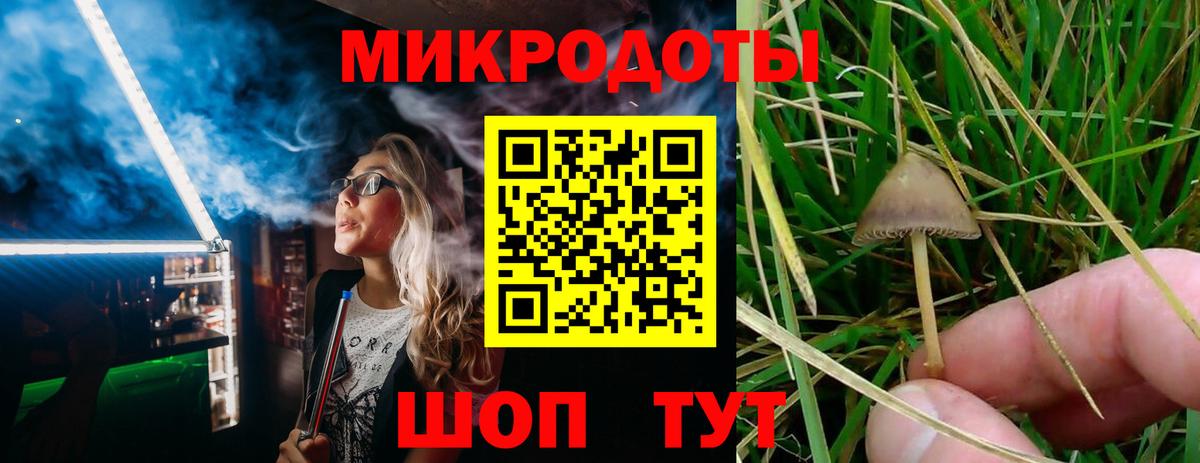 Сызрань  Псилоцибиновые грибы MAGIC MUSHROOMS  Вход с VPN  Псилоцибиновые грибы мухоморы 